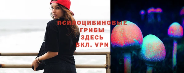 эйфоретик Бронницы