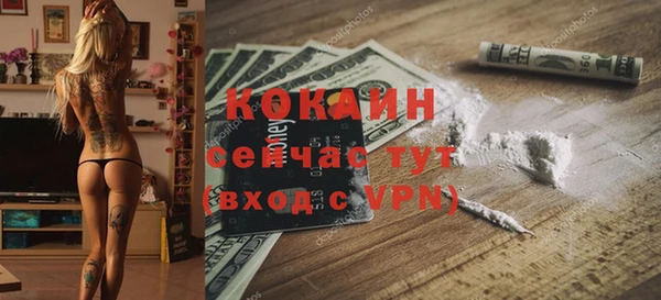 2c-b Бородино