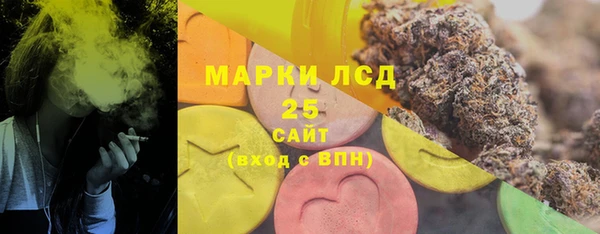 2c-b Бородино